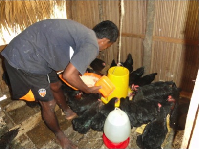 Grenier à riz et poulailler à Madagascar – Août 2012