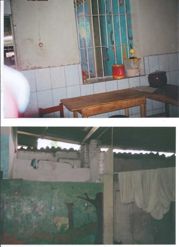 Imagen 008