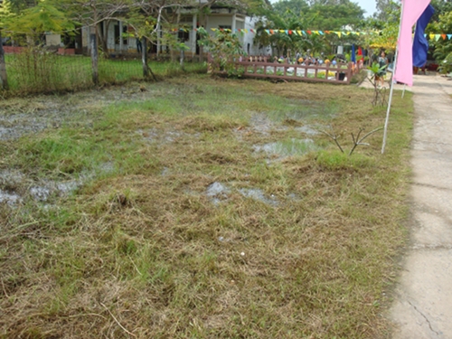DSC08828