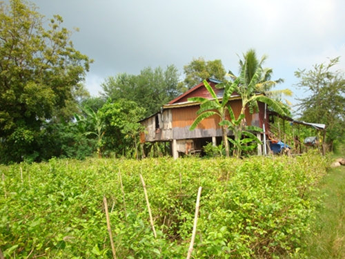 DSC09202