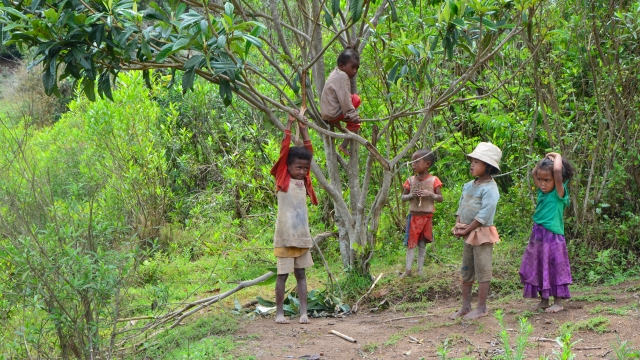 Construction d’une cantine scolaire à Madagascar – Oct. 2014