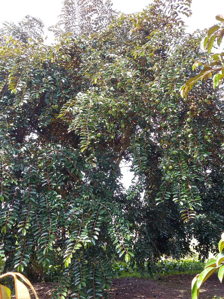 20141117_094736 - copie