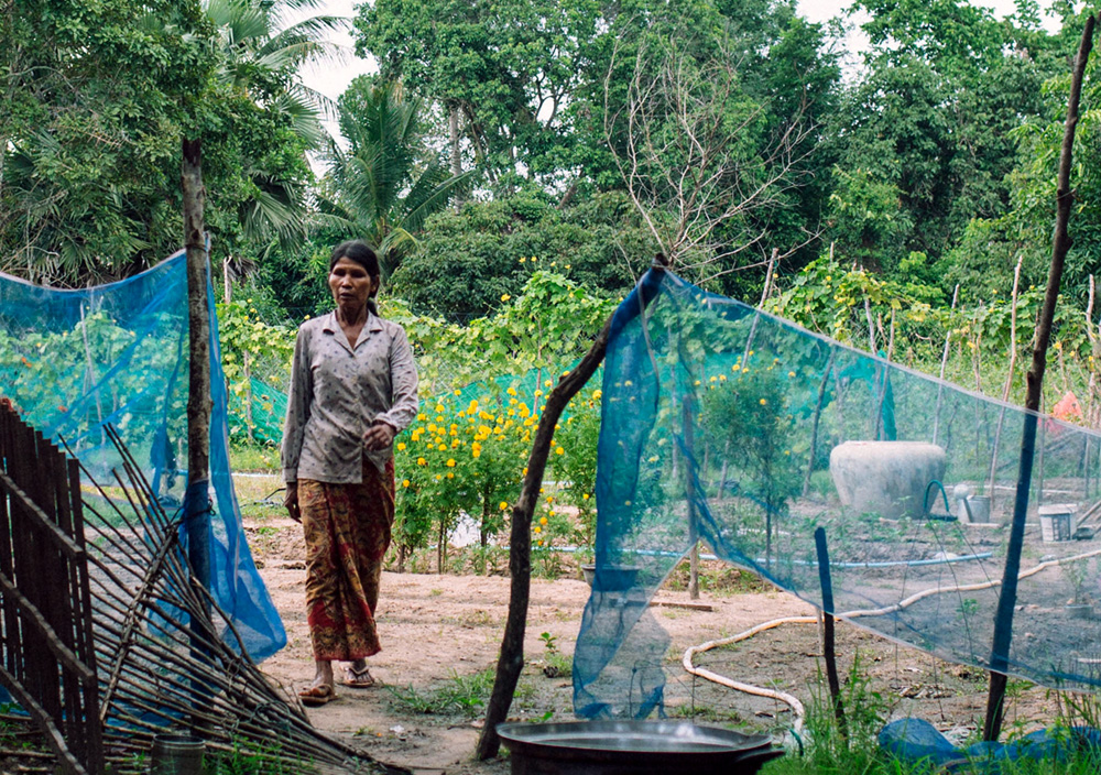 Potager École du Bayon 