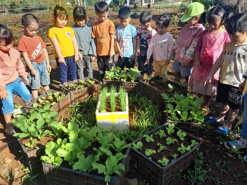 Ecole Hoa Mai, coin du potager 2
